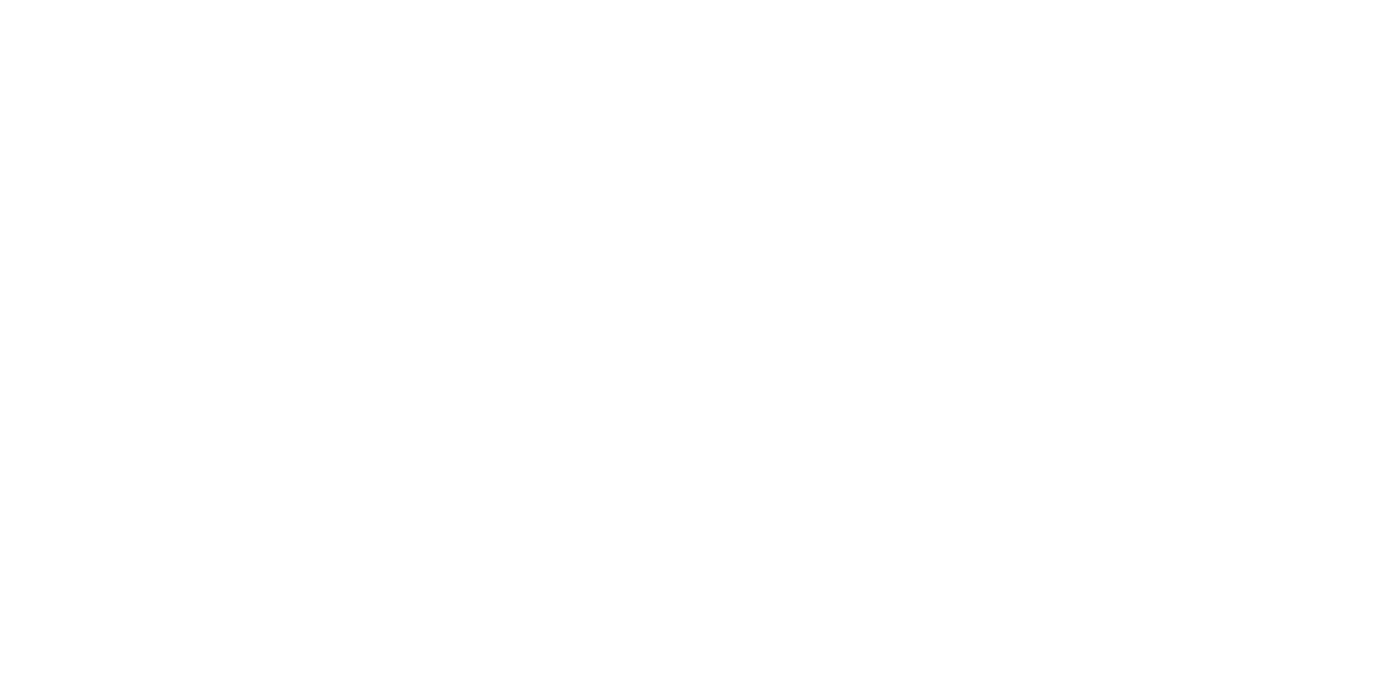 DIGI AI